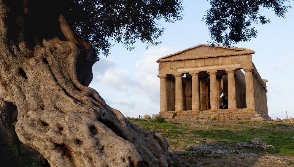 La Valle dei Templi, dove la luce antica guida la sostenibilità del futuro